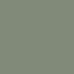 RAL-7033-cement-gray.jpg